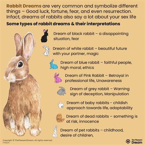 The Enigmatic Significance of a Infant Pale Bunny