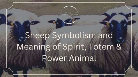 The Enigmatic Symbolism of a Flock of Sheep