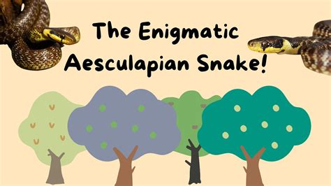 The Enigmatic Symbolism of the Arboreal Serpent