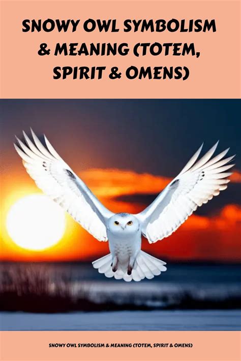 The Enigmatic White Owl: Messages from the Spirit World