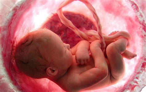 The Enthralling Experience of Witnessing Your Unborn Baby