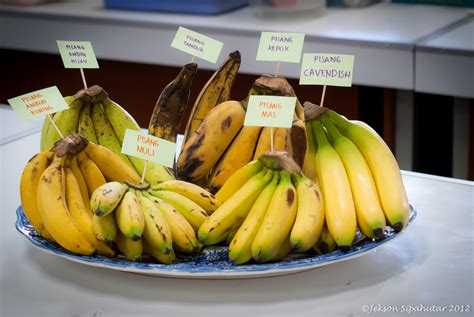 The Enthralling Past of Bananas