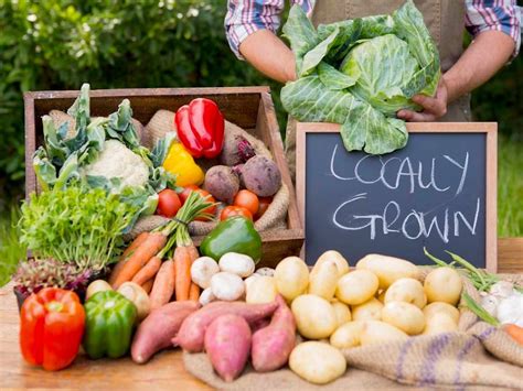 The Environmental Impact of Supporting Local Farmers by purchasing Sustainably Grown Produce