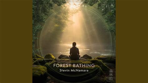 The Essence of Forest Bathing: Revitalizing the Mind, Body, and Spirit