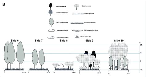 The Eternal Legacy: Synthetic Arboreal Structures and their Perpetuity