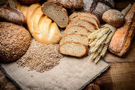 The Evolution of Bread: From Ancient Times to the Present