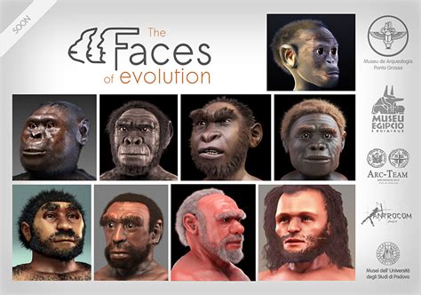 The Evolution of Facial Alterations: Exploring the Journey from Ancient Times to the Present