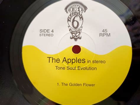 The Evolution of Music: From Vinyl to Apples In Stereo