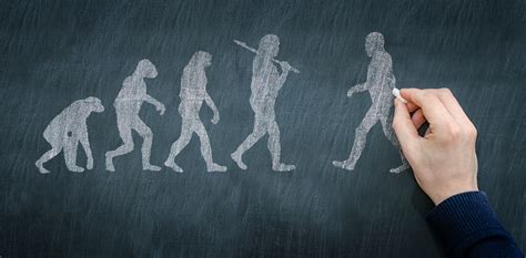 The Evolutionary Perspective: Why Failure Dreams Might Serve a Purpose