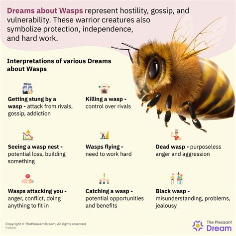 The Evolutionary Significance of Wasp Consensuses in Dream Symbolism