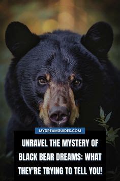 The Evolutionary Significance of the Mysterious Dark Bear