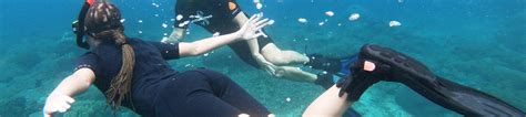 The Excitement and Delight of Snorkeling