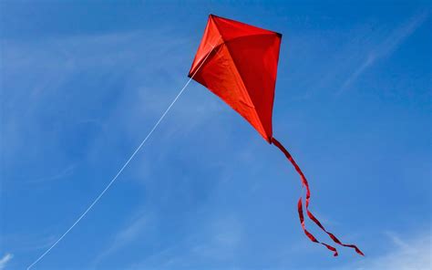 The Excitement of Soaring: Delving into the Allure of Kite Flying