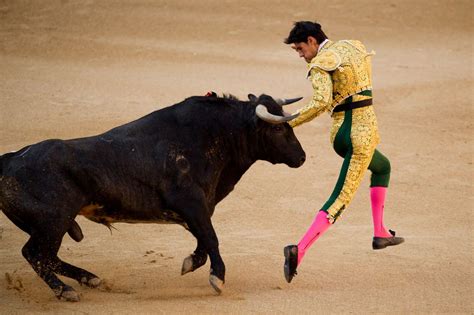 The Excitement of the Chase: Exhilaration in Bullfighting