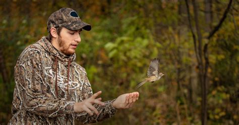 The Extraordinary Migratory Habits of Azure Avians