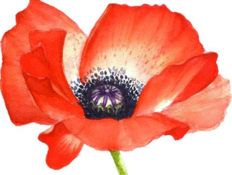 The Fascinating Connection: Poppy Flowers and Art