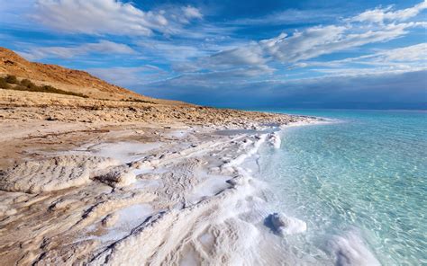 The Fascinating Ecosystem of the Dead Sea