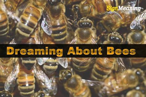 The Fascinating Explanations Behind Dreams Involving Bee Swarms