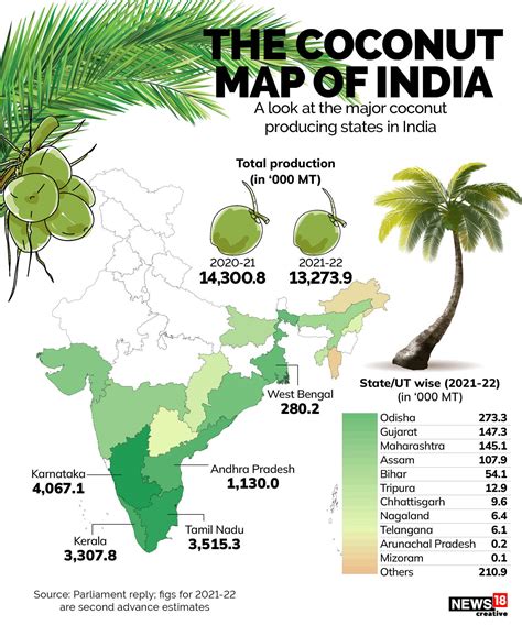 The Fascinating History and Origins of the Remarkable Coconut Seed