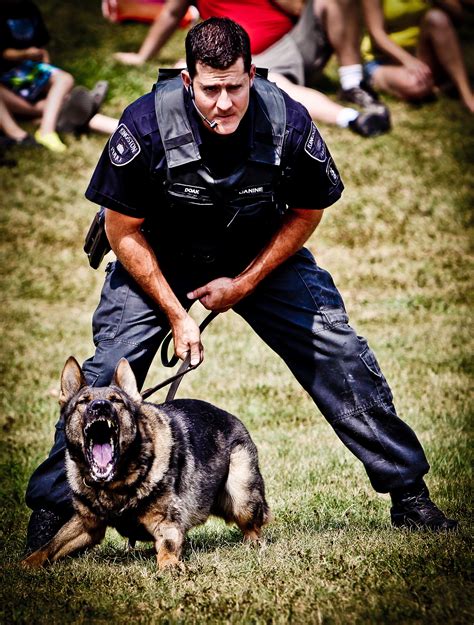 The Fascinating History of Canine Officers: Exploring the Legacy of Working Dogs