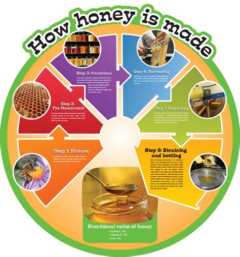 The Fascinating History of Consuming Honey