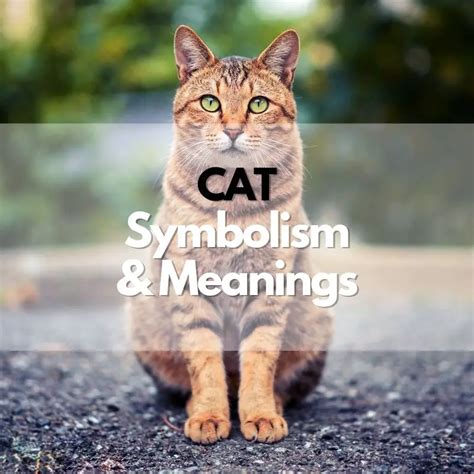 The Fascinating History of Feline Visage Symbolism