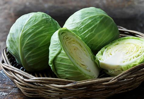 The Fascinating History of Green Cabbage