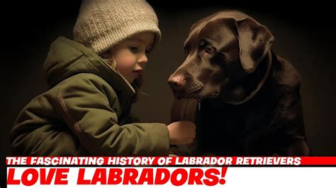 The Fascinating History of Labrador Retrievers