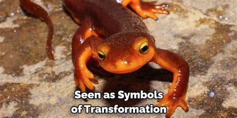 The Fascinating History of the Mysterious Symbol of the Azure Newt