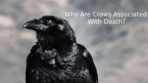 The Fascinating Link Between Crows and Dwellings in the Analysis of Dreams