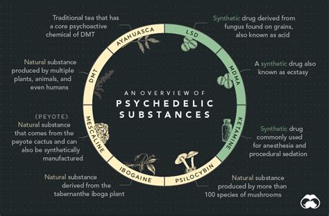 The Fascinating Origins and Evolution of Psychedelics