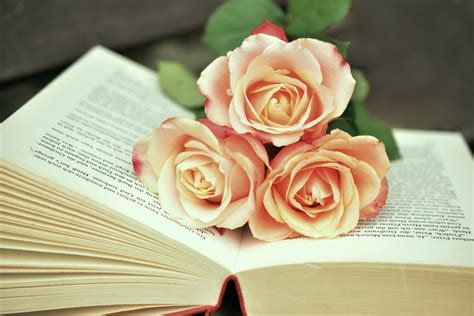 The Fascinating Role of Roses in Art and Literature