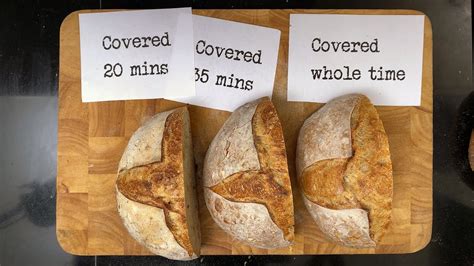 The Fascinating Science Behind Bread: From Dough to Loaf