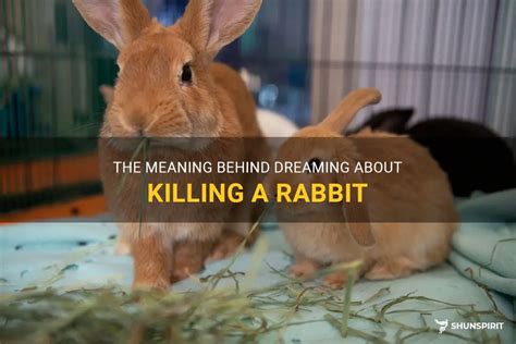 The Fascinating Significance Behind Dreams of Rabbit Slaying