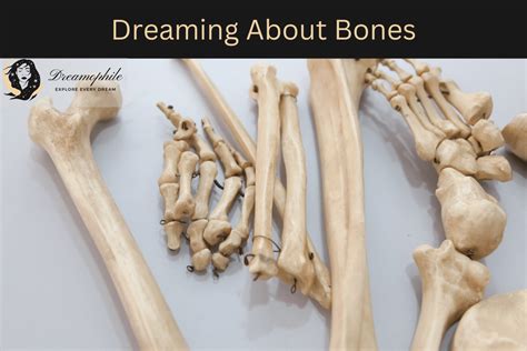 The Fascinating Symbolism of Bone in Dreams