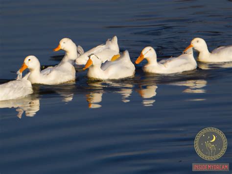 The Fascinating Symbolism of Ducks in Dreams