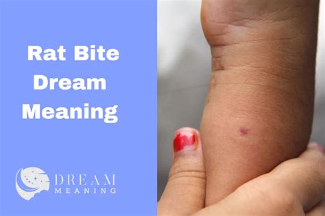 The Fascinating Symbolism of Rodent Bites in Dream Analysis