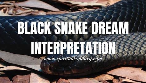 The Fascinating Symbolism of a Black Snake in Dream Interpretation