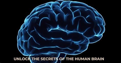 The Fascinating Workings of the Human Mind