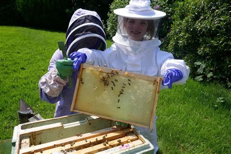 The Fascinating World of Beekeeping: A Journey into the Hive