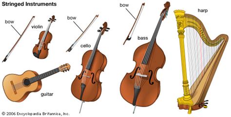 The Fascinating World of Equipped with a Six-Stringed Musical Instrument