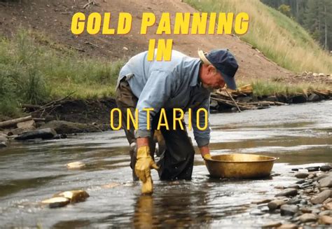 The Fascination of Chasing the Glimmer: Exploring the Allure of Gold Panning