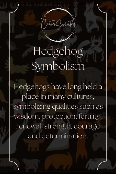 The Feminine Traits Associated with Hedgehog Symbolism