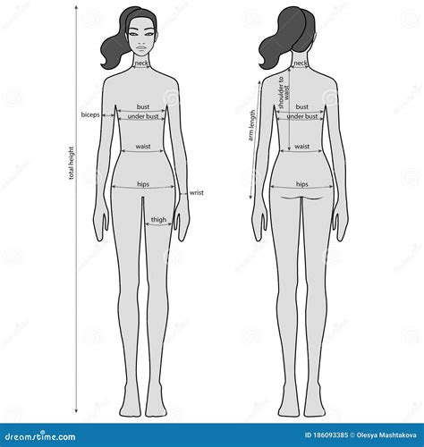 The Figure of Neginvaand: Body Measurements