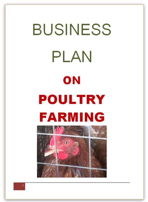 The First Steps: Researching and Planning for Your New Poultry Companion