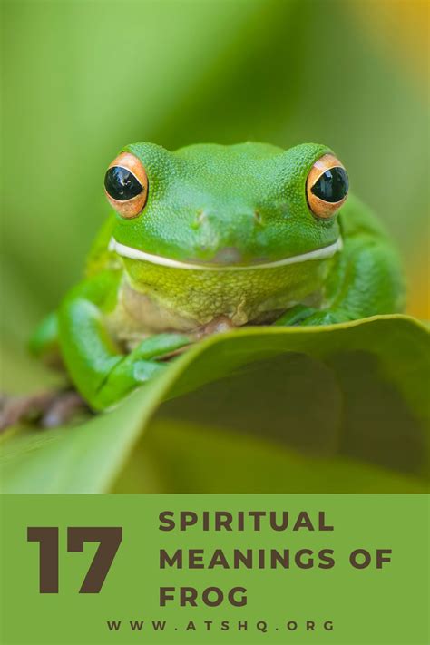 The Frog's Symbolism of Fortune and Abundance in Diverse Cultures