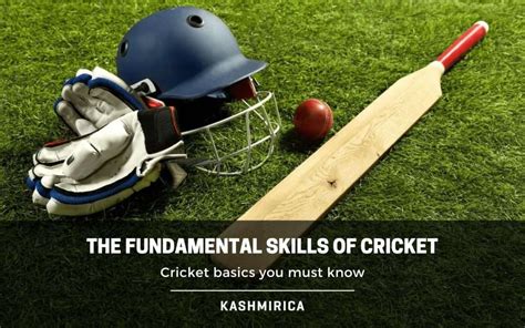 The Fundamentals of Cricket: Grasping the Essence of the Sport