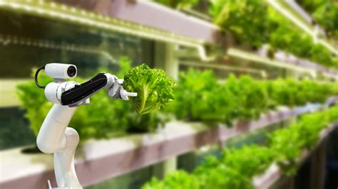 The Future of Agriculture: Innovations and Trends