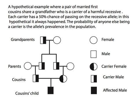 The Genetic Risks of Cousin Relationships