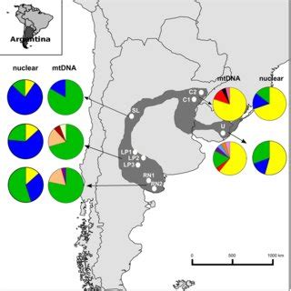 The Geographic Distribution of the Yellow Cardinal